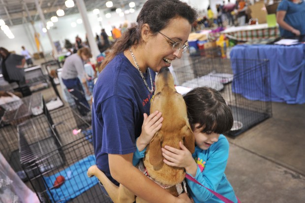 Mega Adoption Fair